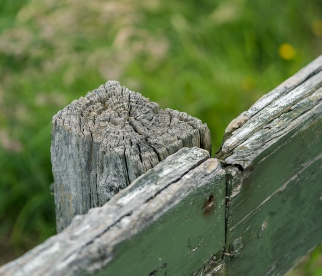 Pest-Proofing Your Fence: Tips From Newark Fence Builders