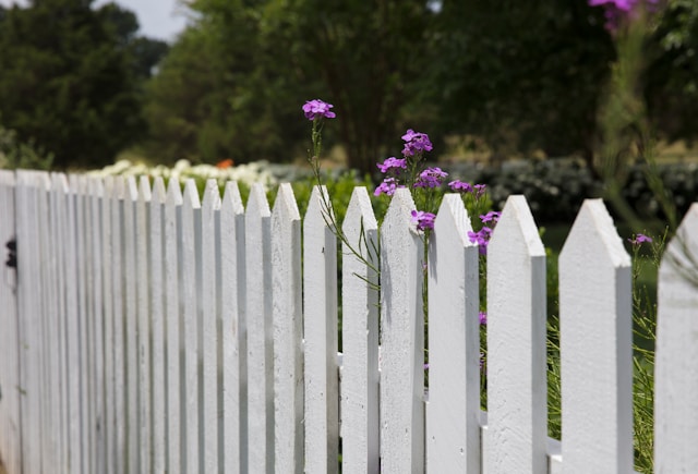 Why Regular Fence Staining Is Essential for New Jersey Homeowners